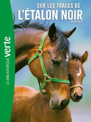 cover image of Sur les traces de l'Étalon Noir